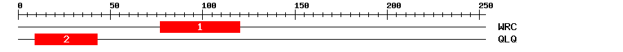 Signature Domain