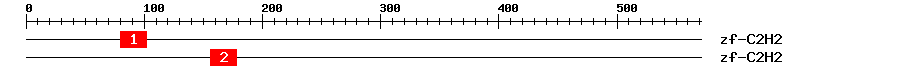 Signature Domain