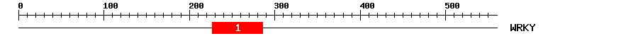 Signature Domain