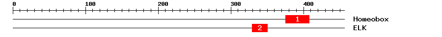 Signature Domain