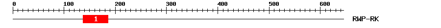 Signature Domain