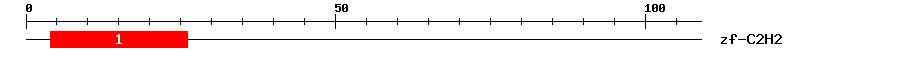 Signature Domain