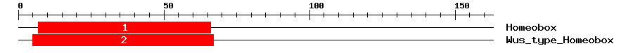 Signature Domain