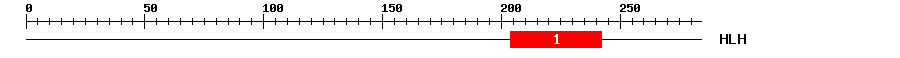 Signature Domain