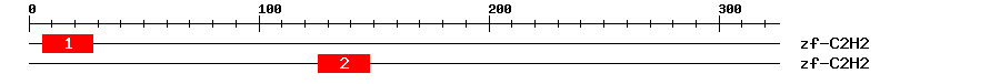 Signature Domain