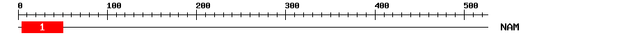 Signature Domain