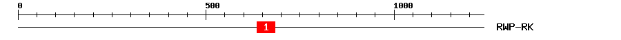 Signature Domain