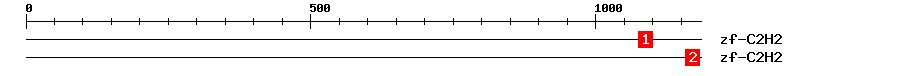 Signature Domain