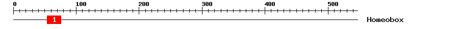 Signature Domain