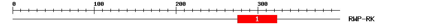 Signature Domain