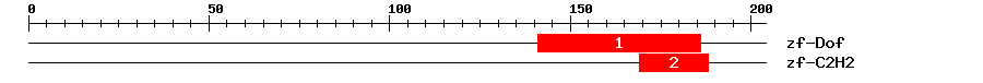 Signature Domain