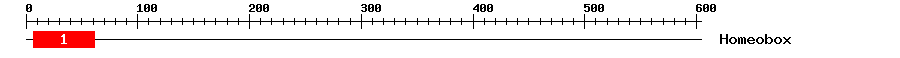 Signature Domain