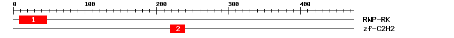 Signature Domain