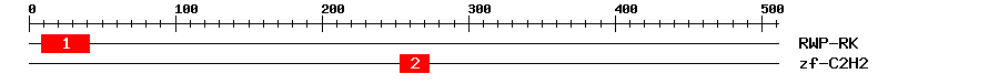 Signature Domain