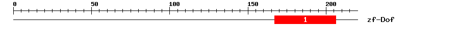 Signature Domain