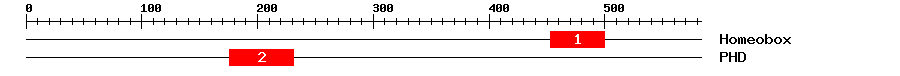 Signature Domain
