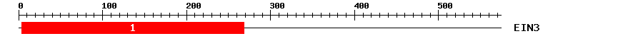 Signature Domain
