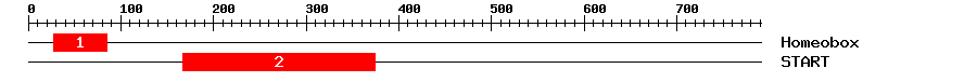 Signature Domain
