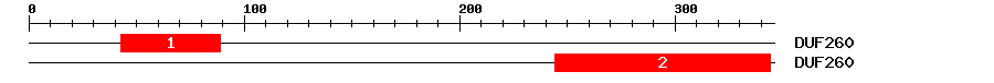 Signature Domain