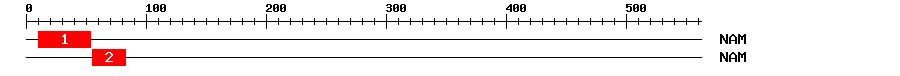 Signature Domain