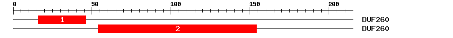 Signature Domain