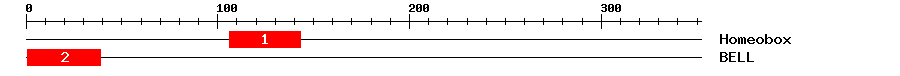 Signature Domain