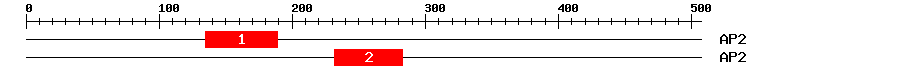 Signature Domain