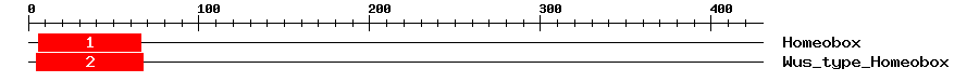 Signature Domain