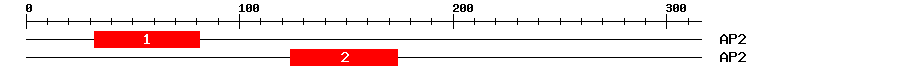 Signature Domain