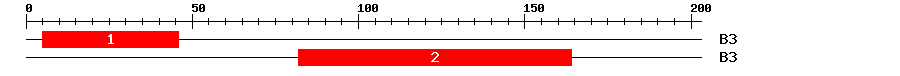 Signature Domain