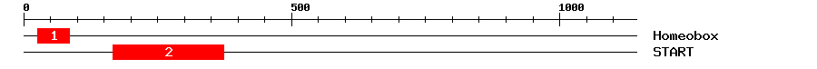 Signature Domain