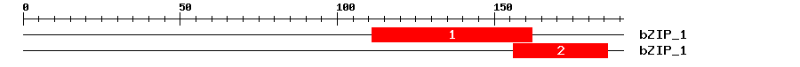 Signature Domain