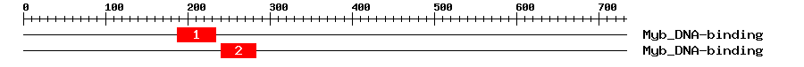 Signature Domain