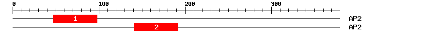 Signature Domain