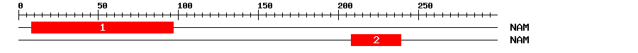 Signature Domain