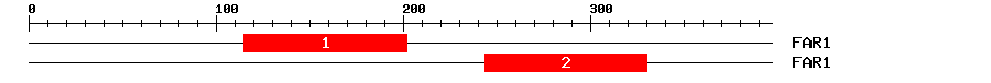 Signature Domain