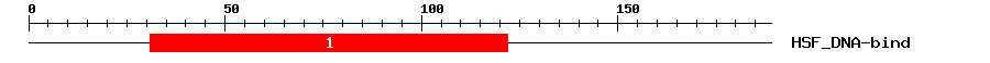 Signature Domain