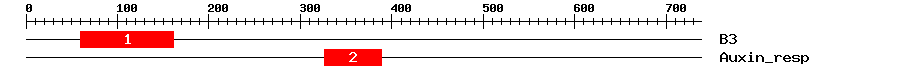 Signature Domain