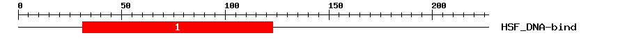 Signature Domain