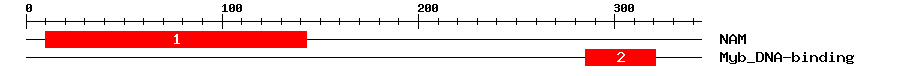 Signature Domain