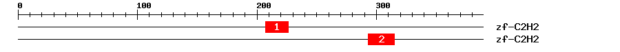 Signature Domain