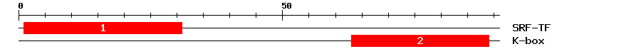 Signature Domain