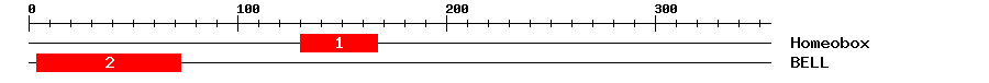 Signature Domain