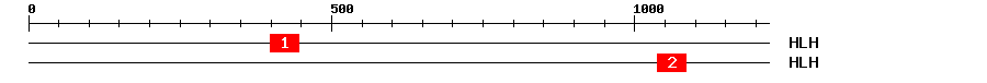 Signature Domain