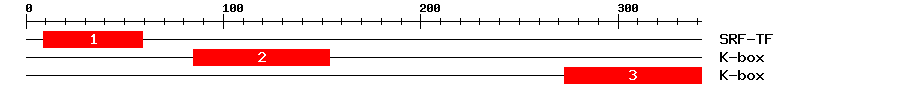 Signature Domain