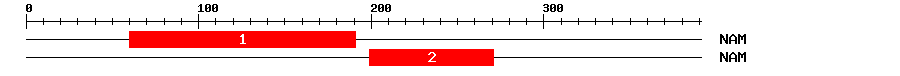 Signature Domain