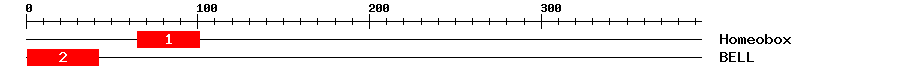 Signature Domain