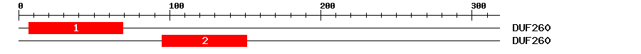 Signature Domain