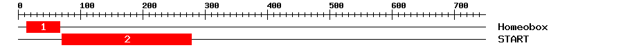 Signature Domain