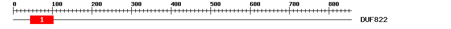 Signature Domain